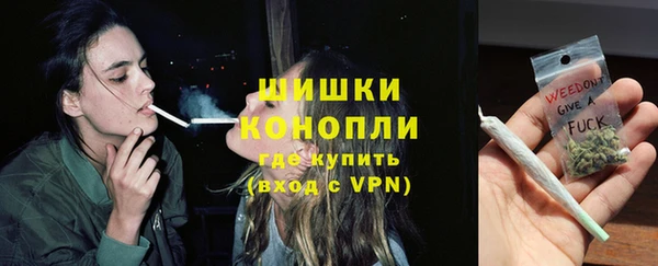 бошки Лагань