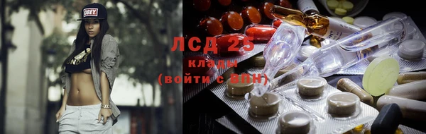 бошки Лагань